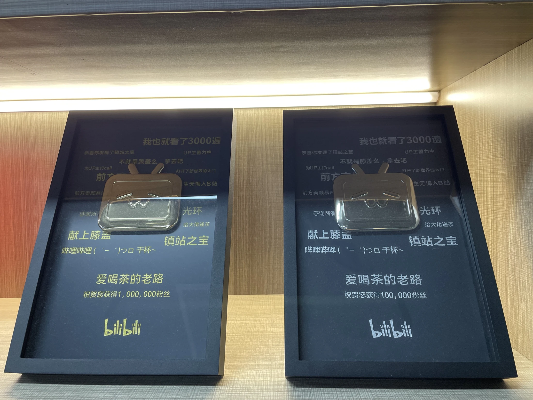 “爱喝茶的老路”B站百万与十万粉丝奖牌